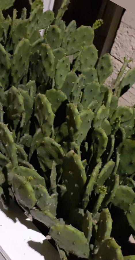 Villa Casamare Marina di Ragusa Esterno foto